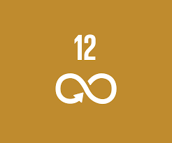 UN SDG 12: Responsible Consumption and Production